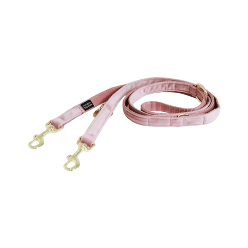 Kentucky Dogwear - Laisse pour chien Velvet 2m vieux rose