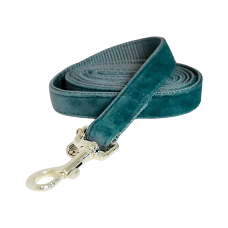 Kentucky Dogwear - Laisse pour chiens Velvet 120 cm émeraude