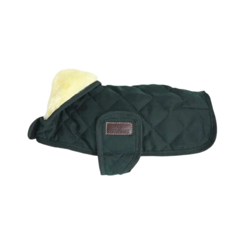 Kentucky Dogwear - Manteau pour chiens 160g vert foncé