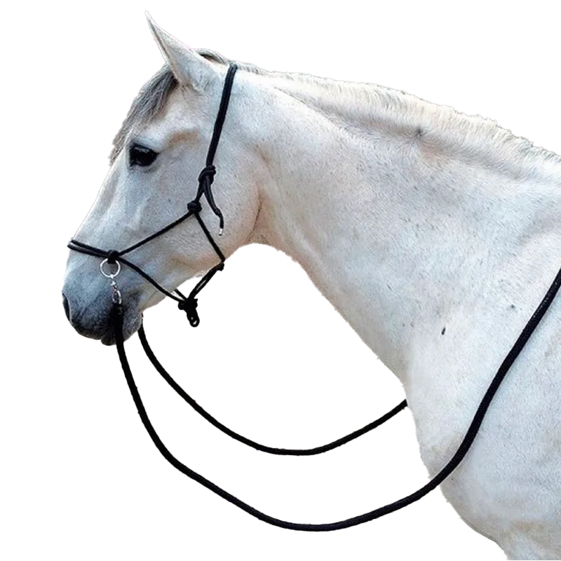 Norton - Licol éthologique avec rênes noir