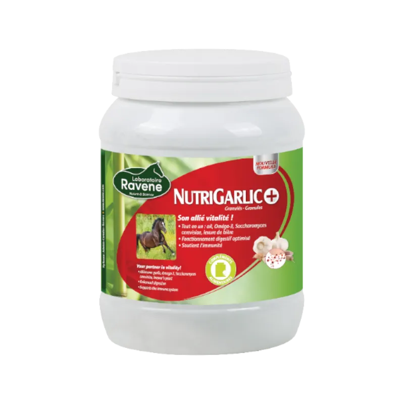 Ravene - Complément alimentaire état général Nutrigarlic +