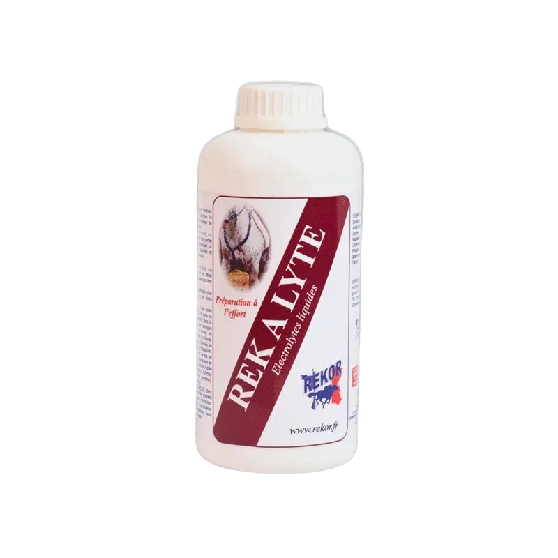 Rekor - Complément alimentaire liquide réhydratant Electrolytes Rek A Lyte