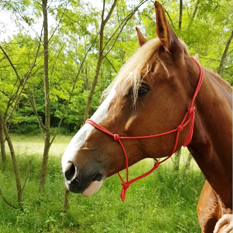 Riding World - Licol éthologique corde fin rouge