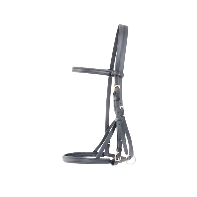 TdeT - Bridon/licol biotack noir