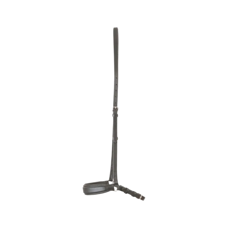 TdeT - Muserolle Allemande noir