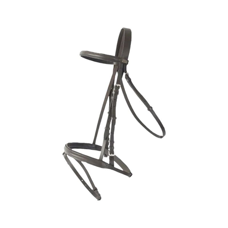 TdeT - Bridon avec rênes Sisley muserolle combinée havane foncé