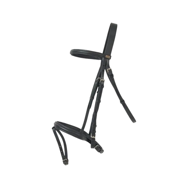 TdeT -  Bridon avec rênes Sisley muserolle combinée noir