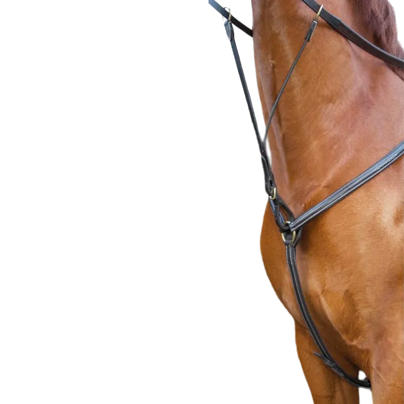 TdeT - Collier de chasse doublé havane foncé