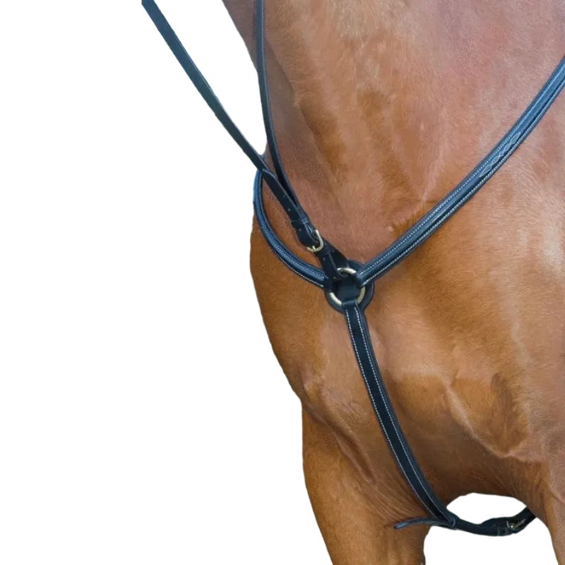 TdeT - Collier de chasse doublé noir