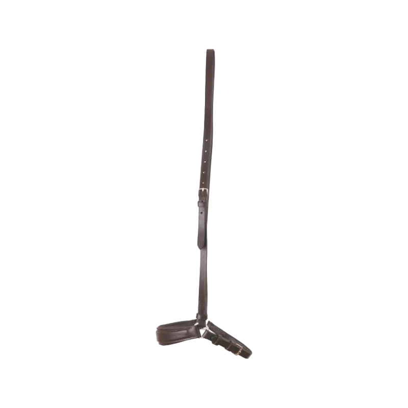 TdeT - Muserolle Allemande havane foncé