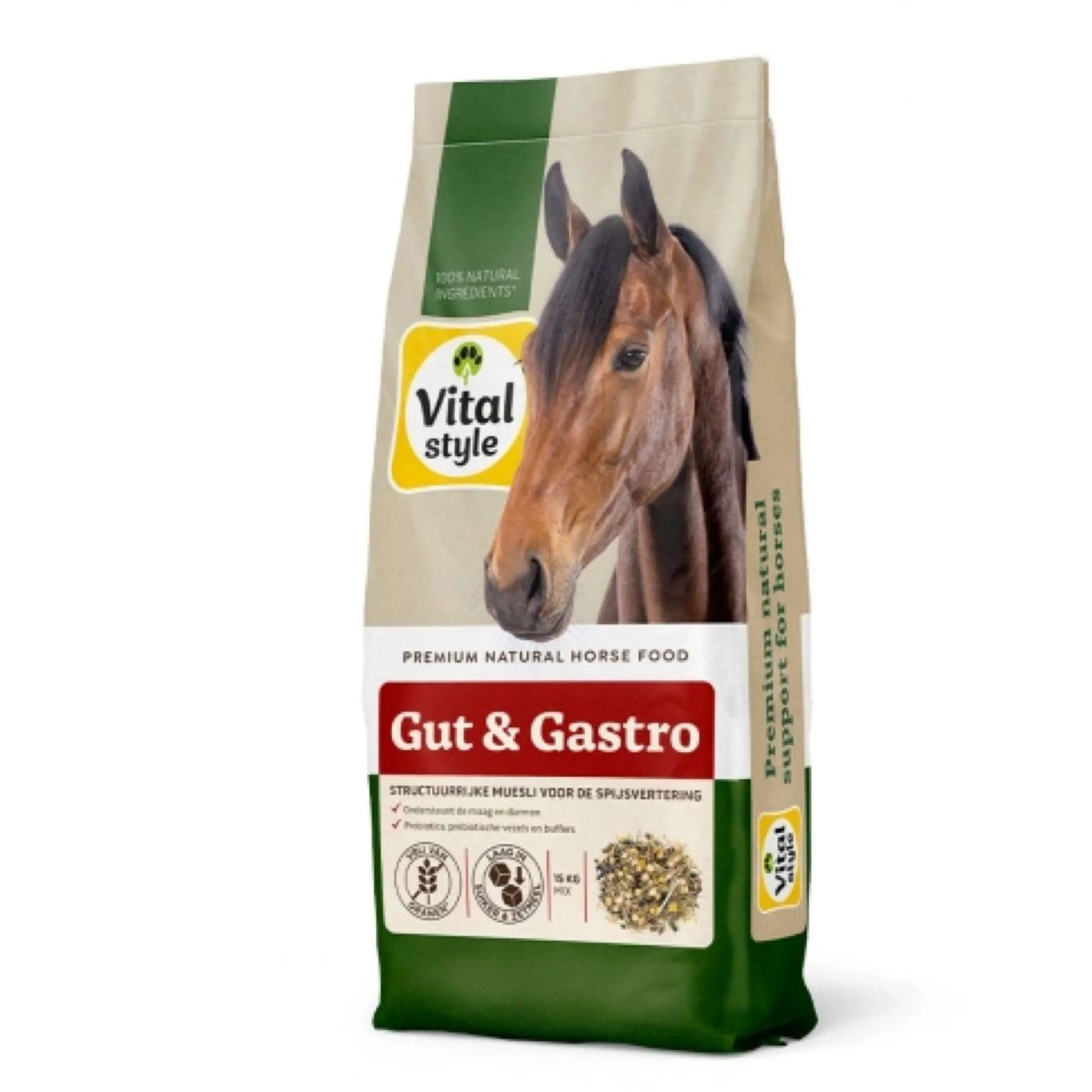 Vitalstyle Muesli Gut & Gastro