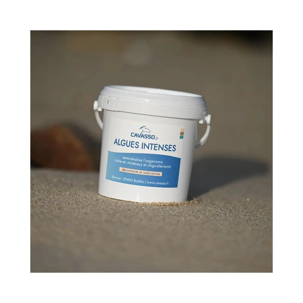Algues Premium Intense Cavasso