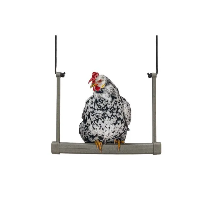 Beeztees Balancoire Gris pour Poule 40x5x30cm