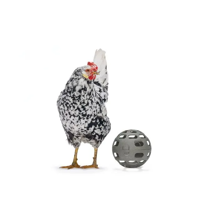 Beeztees Balle En-cas Gris pour Poule 15cm