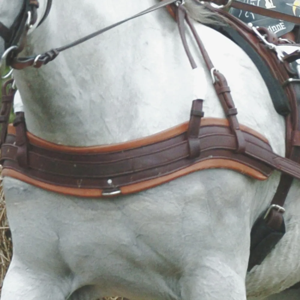 Bricole Anatomique Eric Le Tixerant