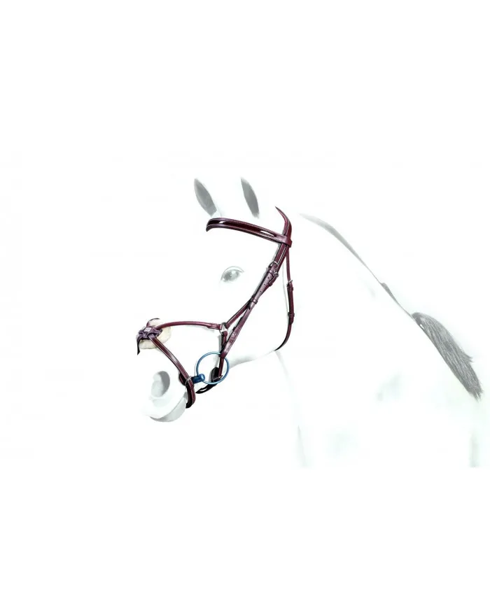 Têtière Equipe Bridon Avec Muserolle Mexicaine