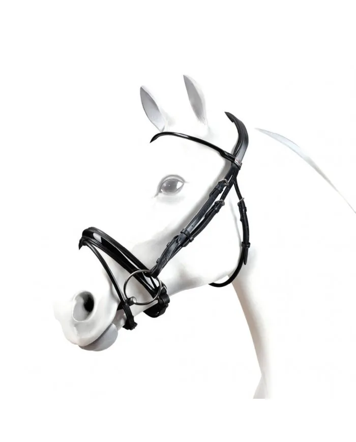 Bridon Equipe avec panneau avant tubulaire