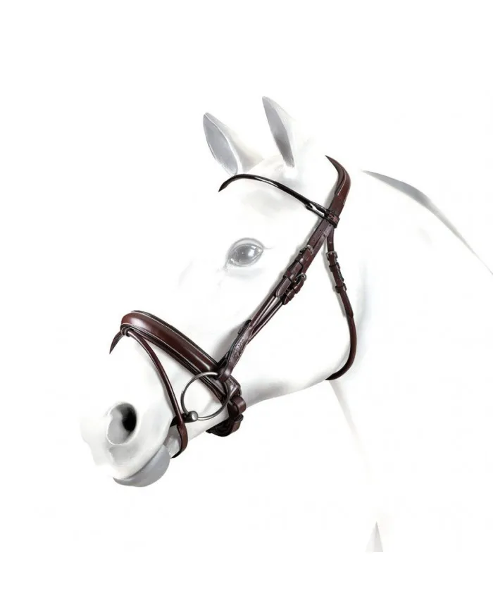 Bridon Equipe avec frontal tubulaire, têtière anatomique « no-stress » et muserolle large, avec embouchure