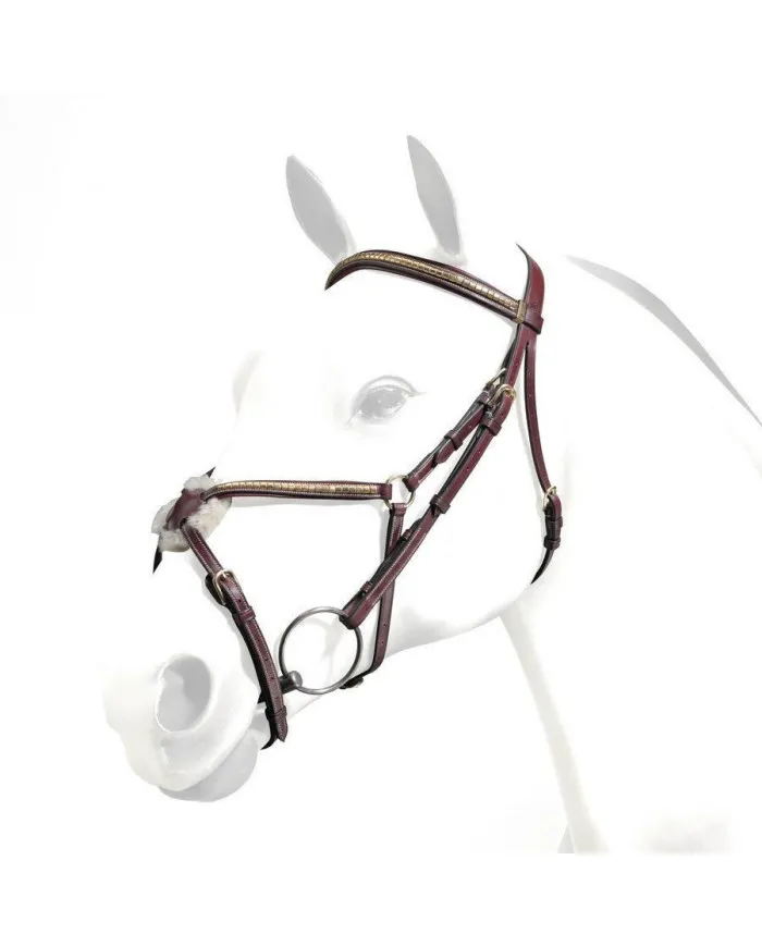 Bridon Equipe Emporio avec pneu