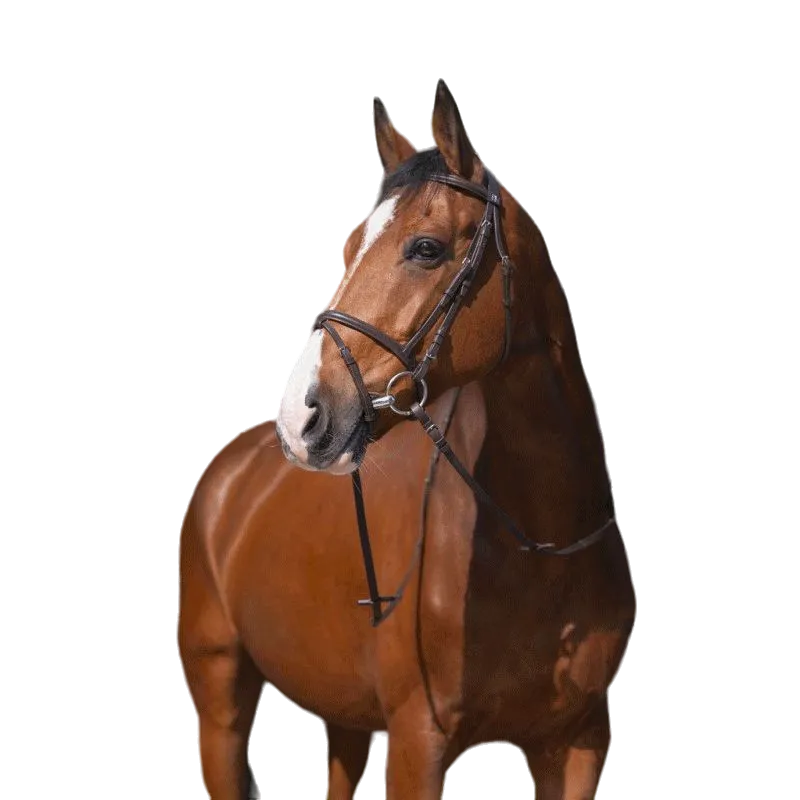 Riding World - Bridon Muserolle Combinée havane avec rênes