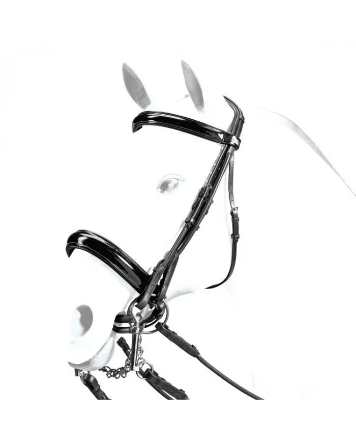 Bridon Tubulaire Equipe et Muserolle King en Peinture