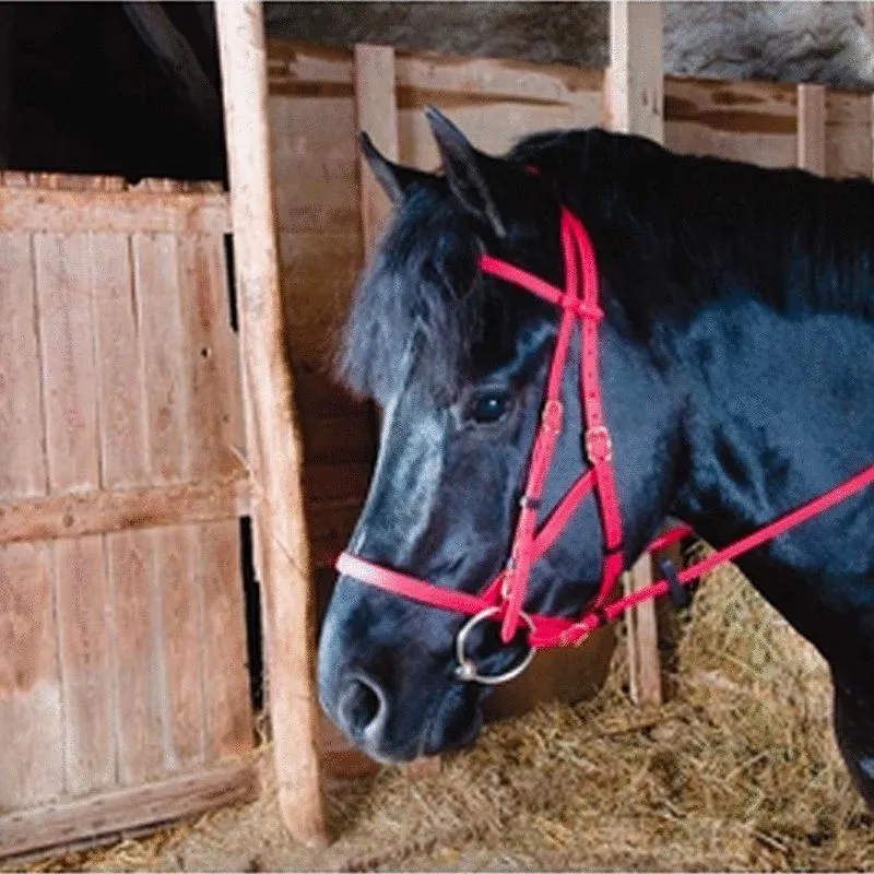 TdeT - Bridon/licol biotack rouge
