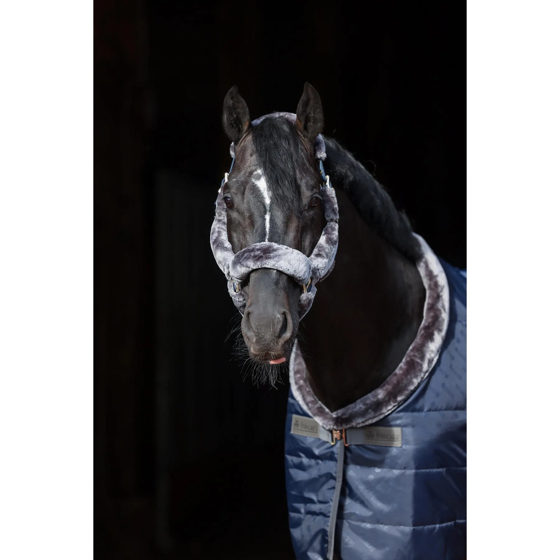 Licol pour cheval en fourrure intégrale Show-Line