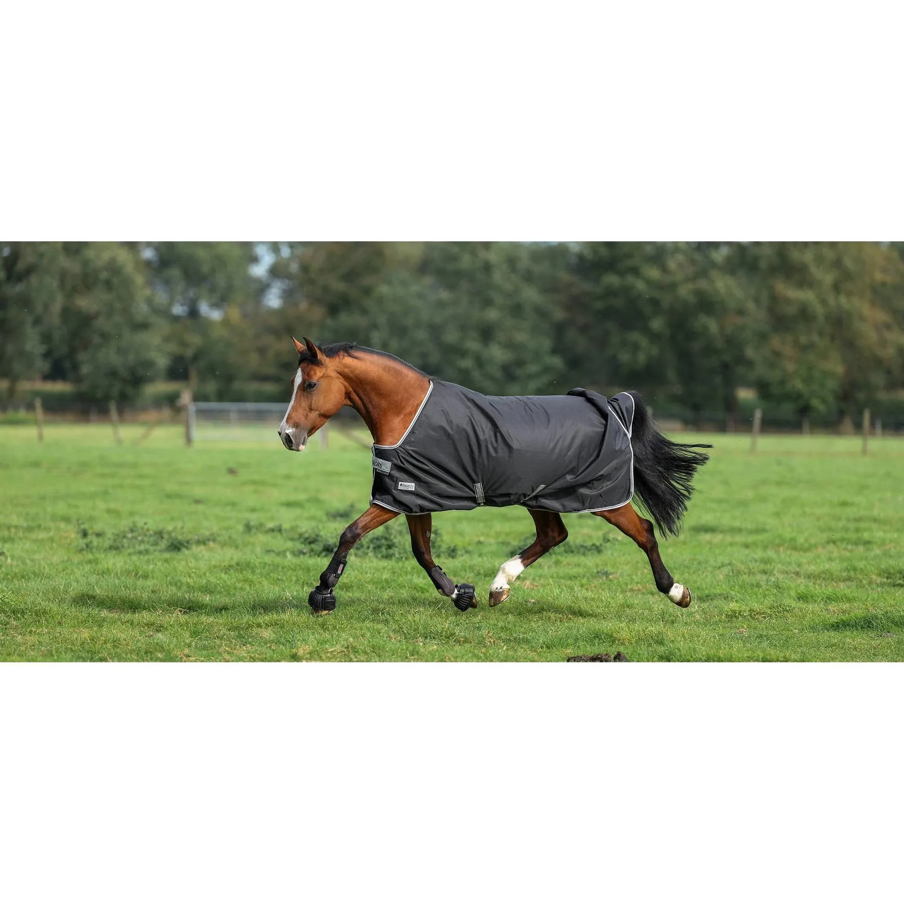 Couverture d'extérieur pour cheval Anniversary Turnout 150g