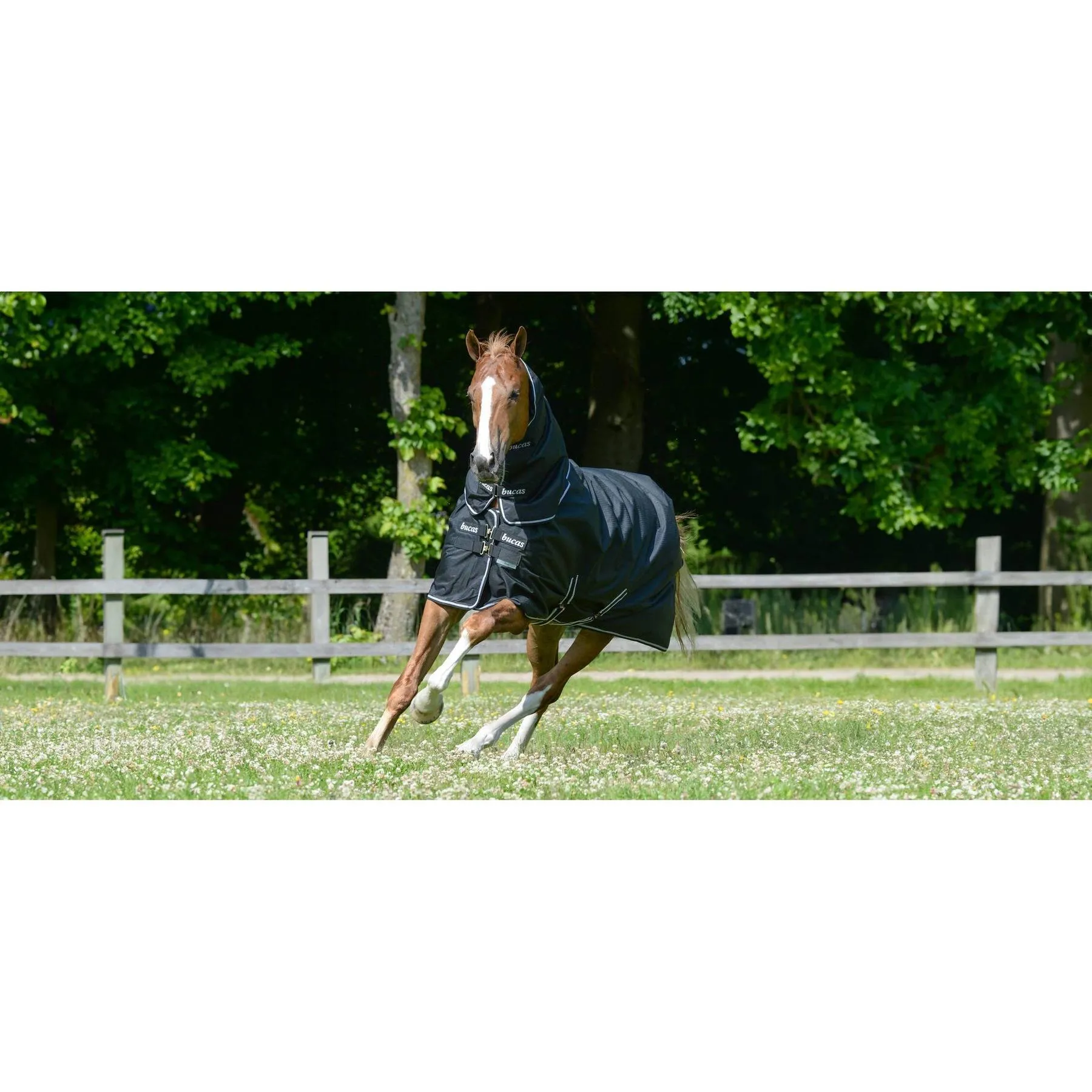 Couverture d'extérieur pour cheval imperméable avec couvre-cou Trot Turnout 200g