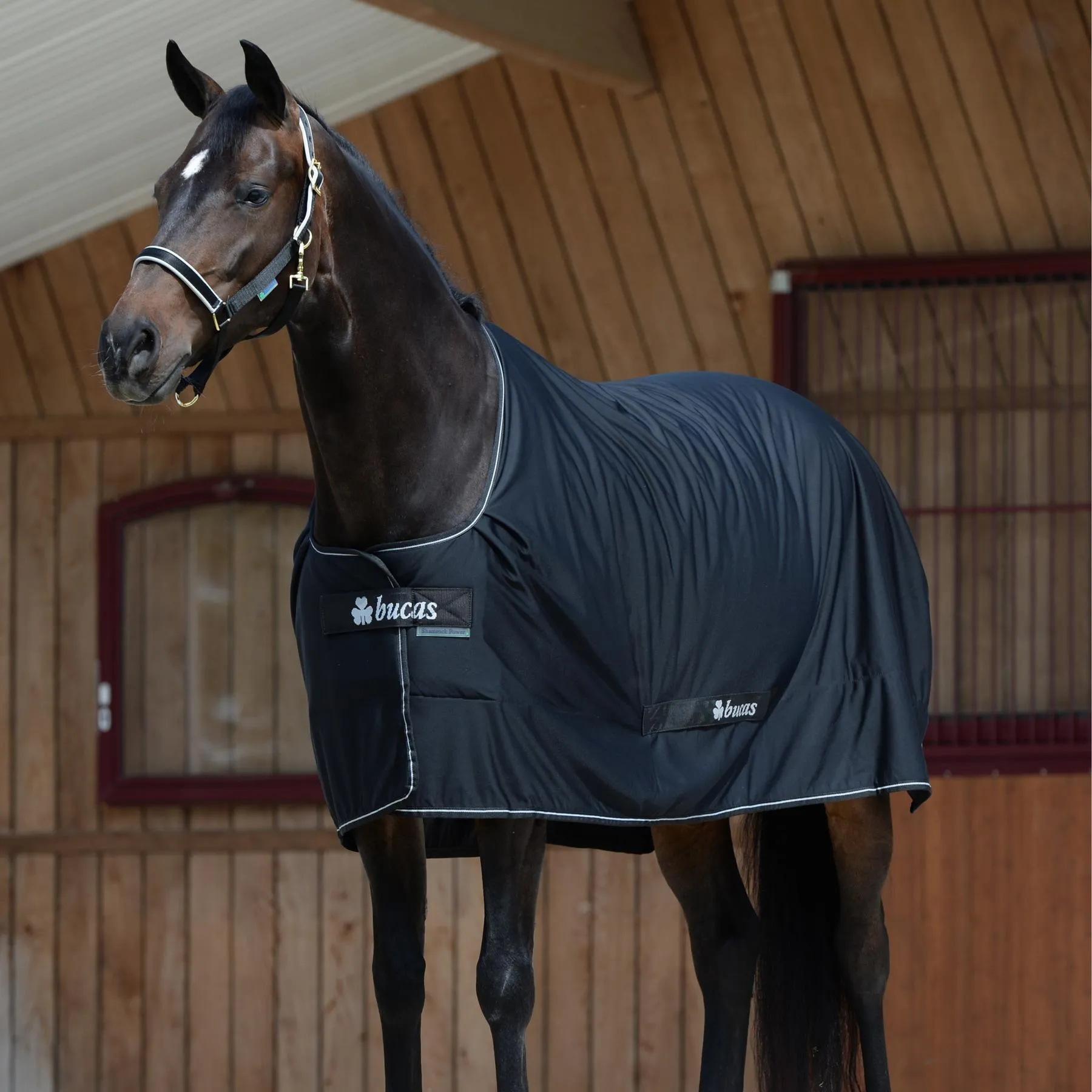 Couverture d'extérieur pour cheval Shamrock Power