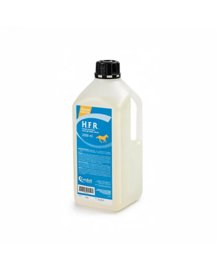Candioli Hfr anti- Fly pour chevaux