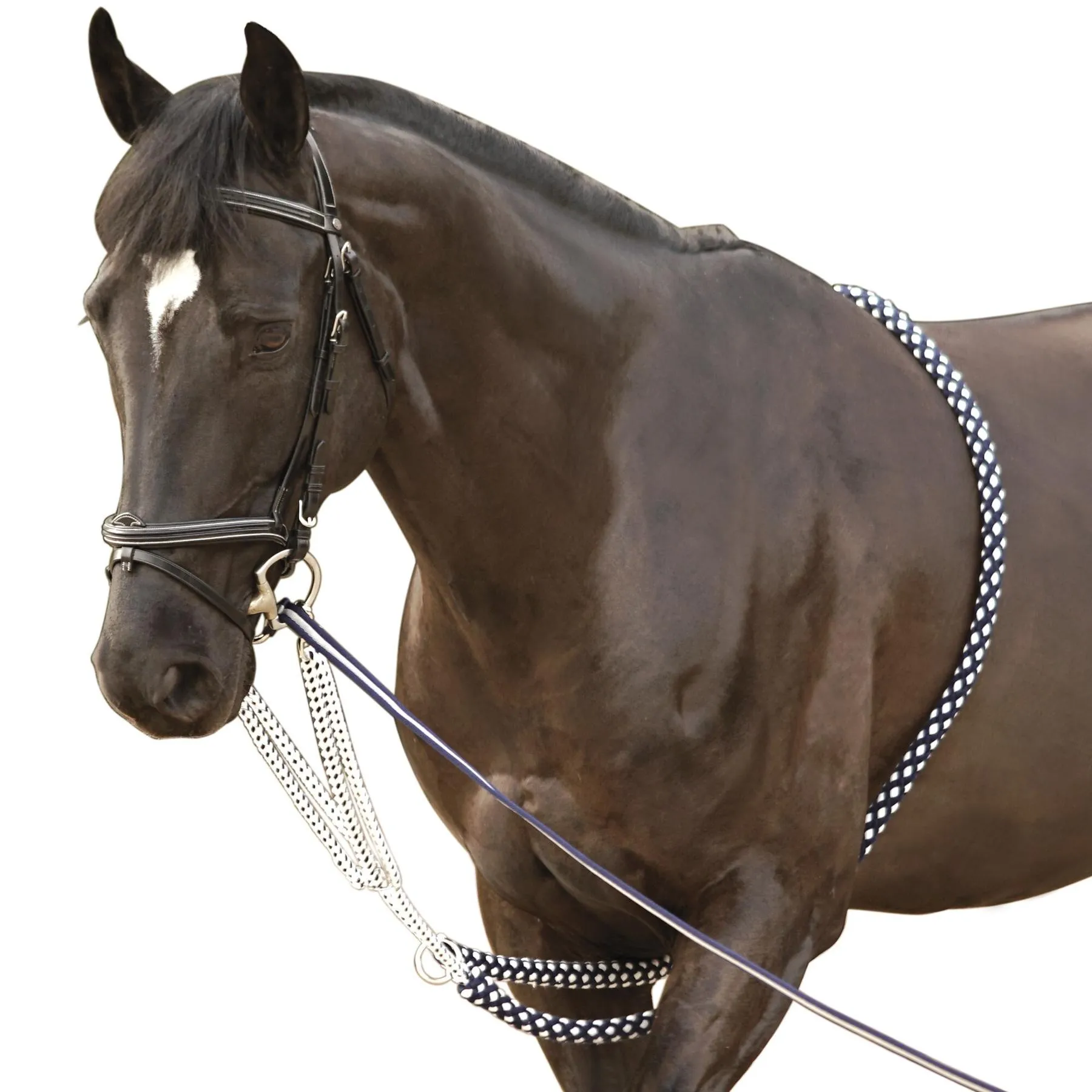 Enrênement pour longe cheval Soft Rope