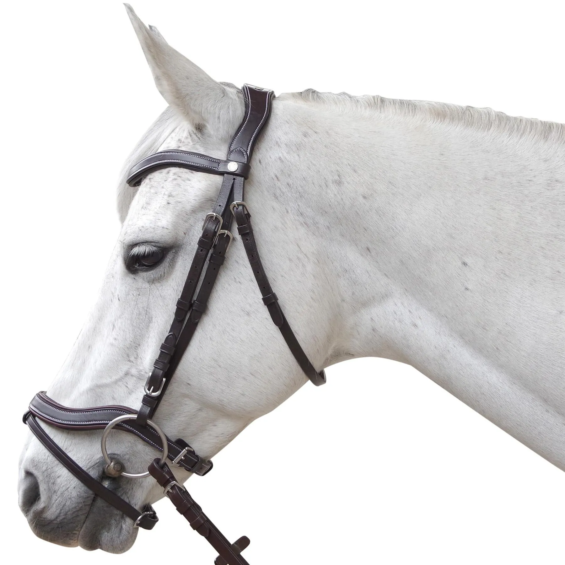 Bridons équitation anatomique Baloubet