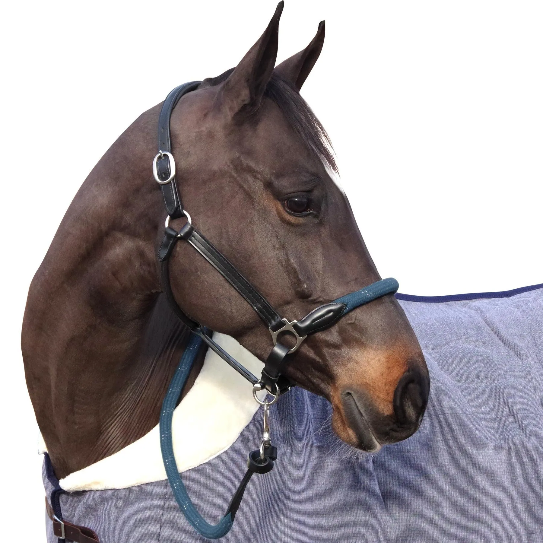 Licol pour cheval corde boucles blanches