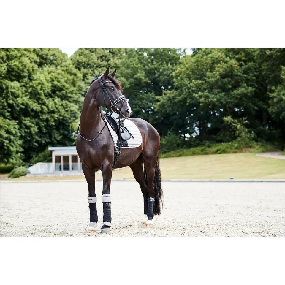 Bridons équitation Savi