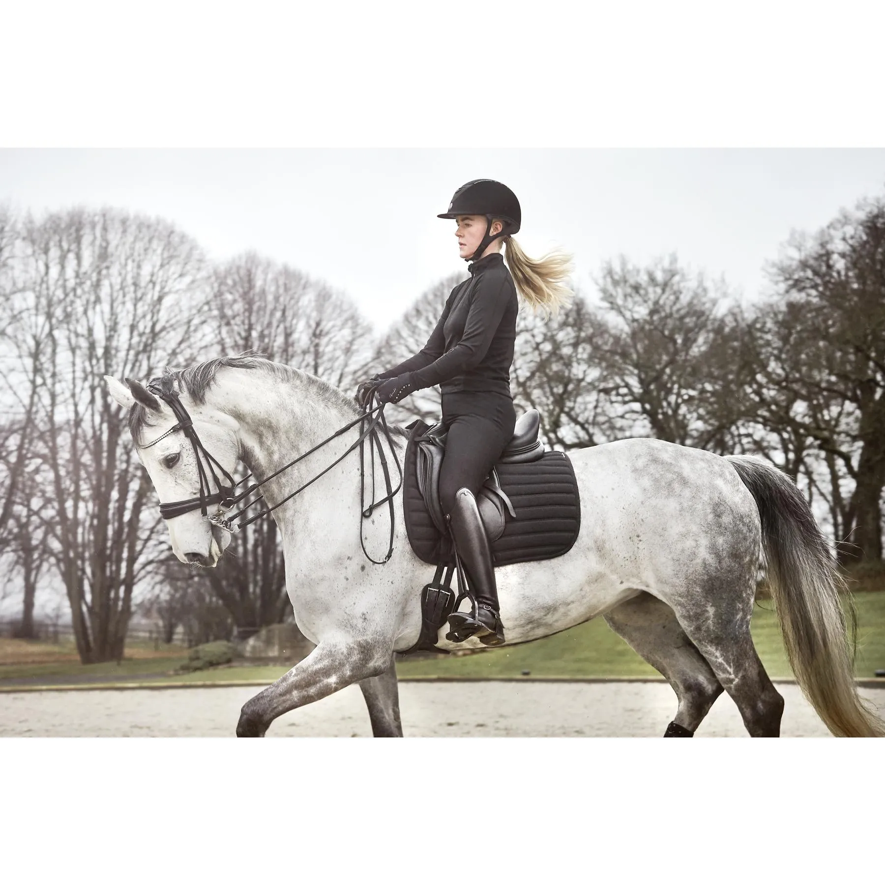 Bridons équitation double roulée Santo