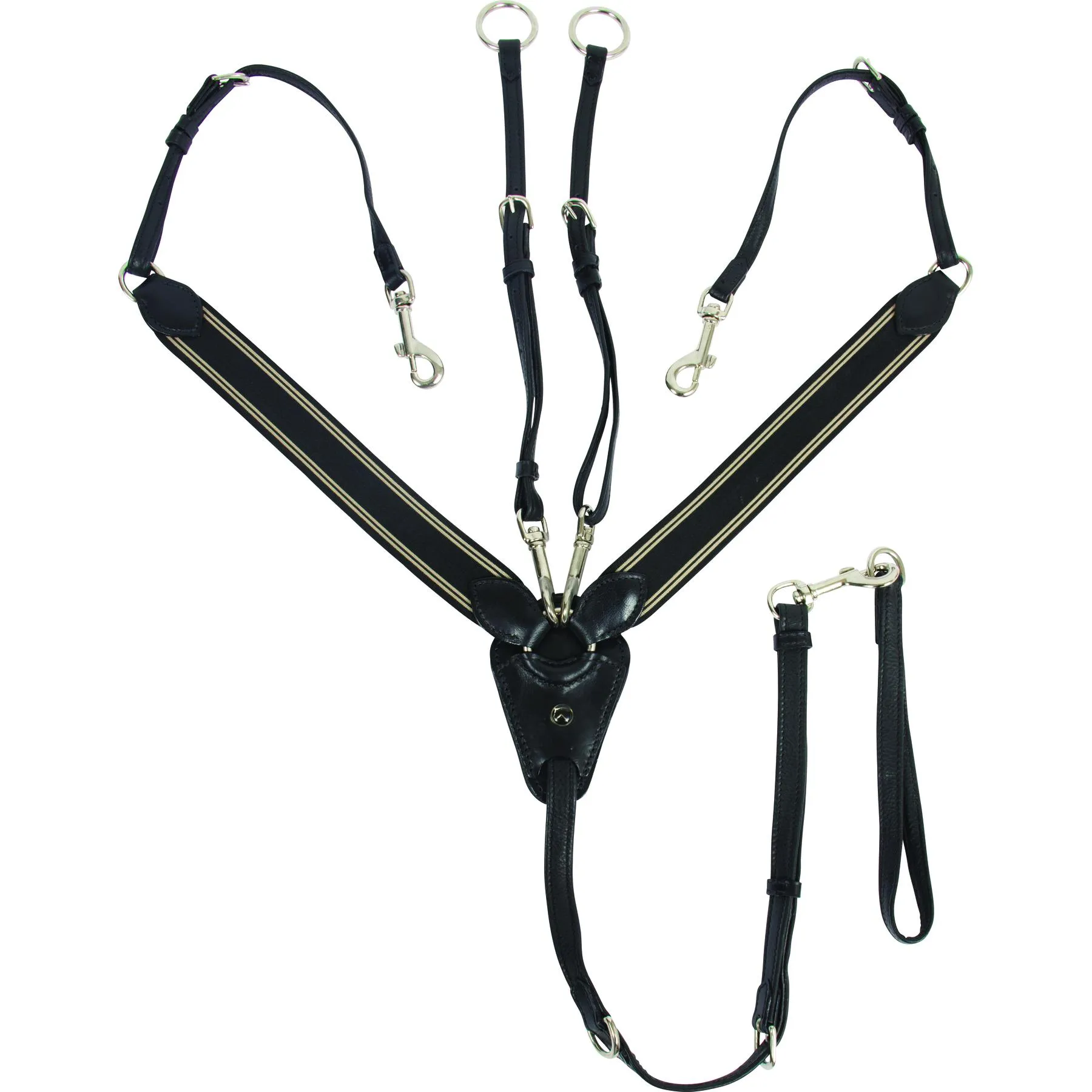 Martingale pour cheval