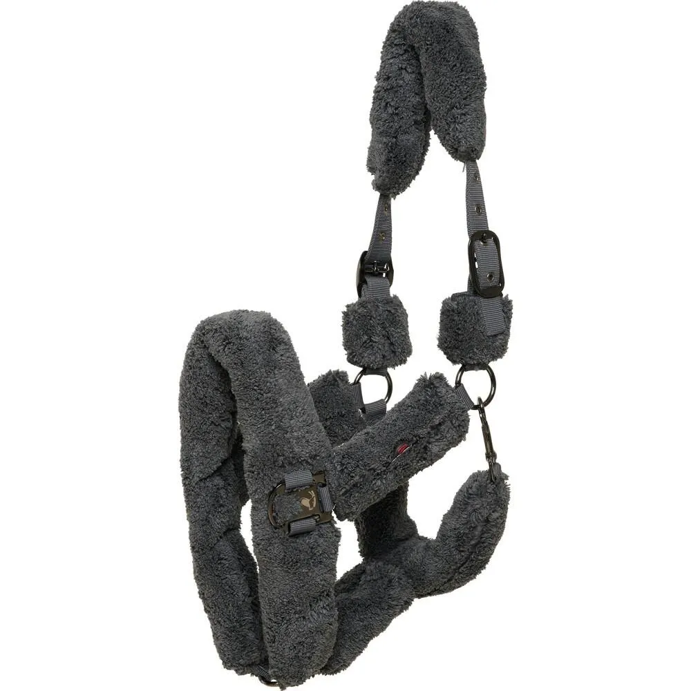 Licol pour cheval Quick Dry