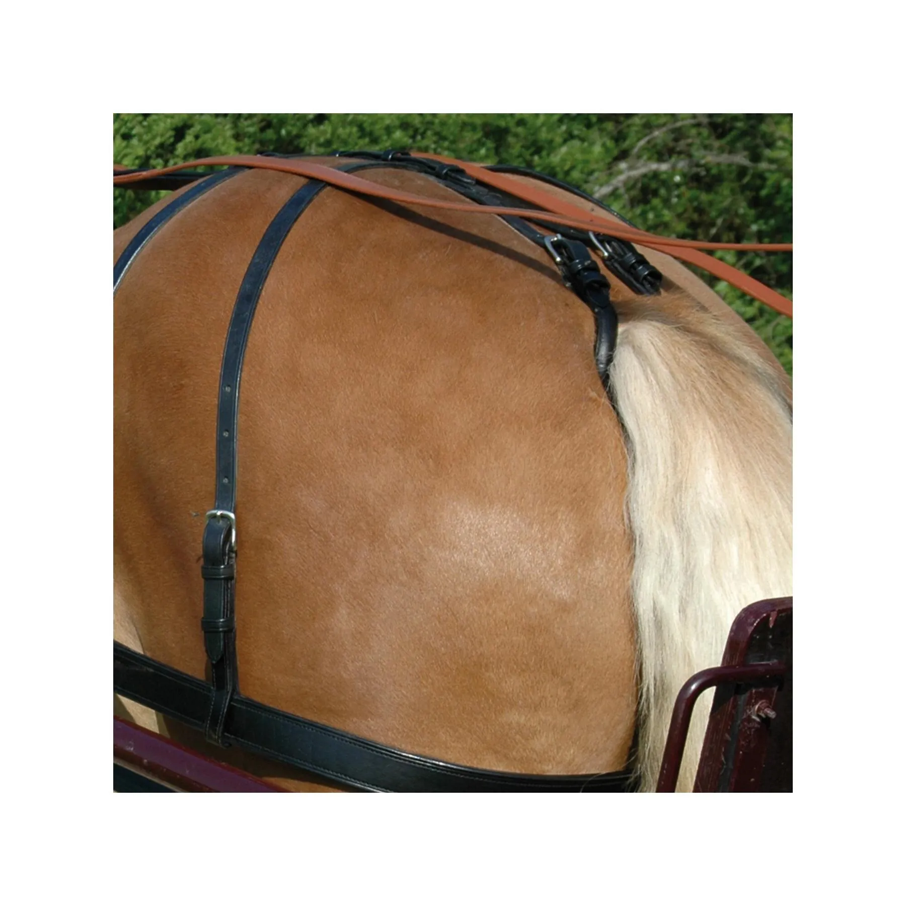 Croupière harnais pour cheval