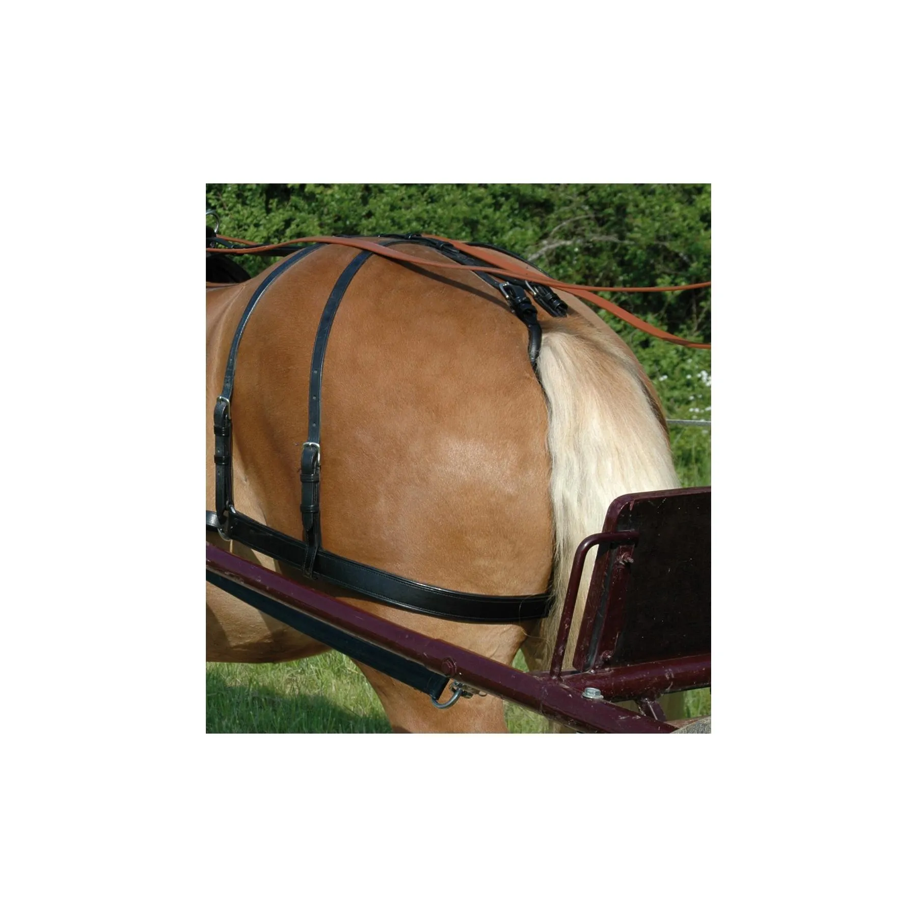 Courroie de reculement Euro