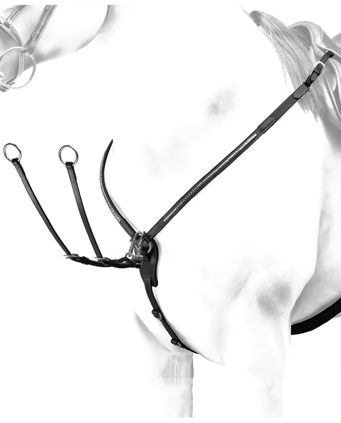 Collier de chasse Emporio Equipe de pneu