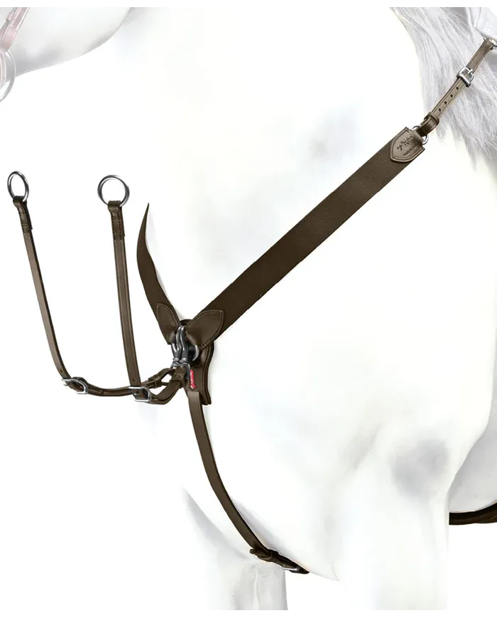 Collier de chasse Élastique Equipe "Y" Avec Fourche de martingale