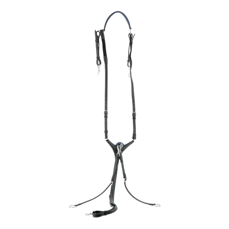 Flags & Cup - Collier de chasse Paris Noir / Marine