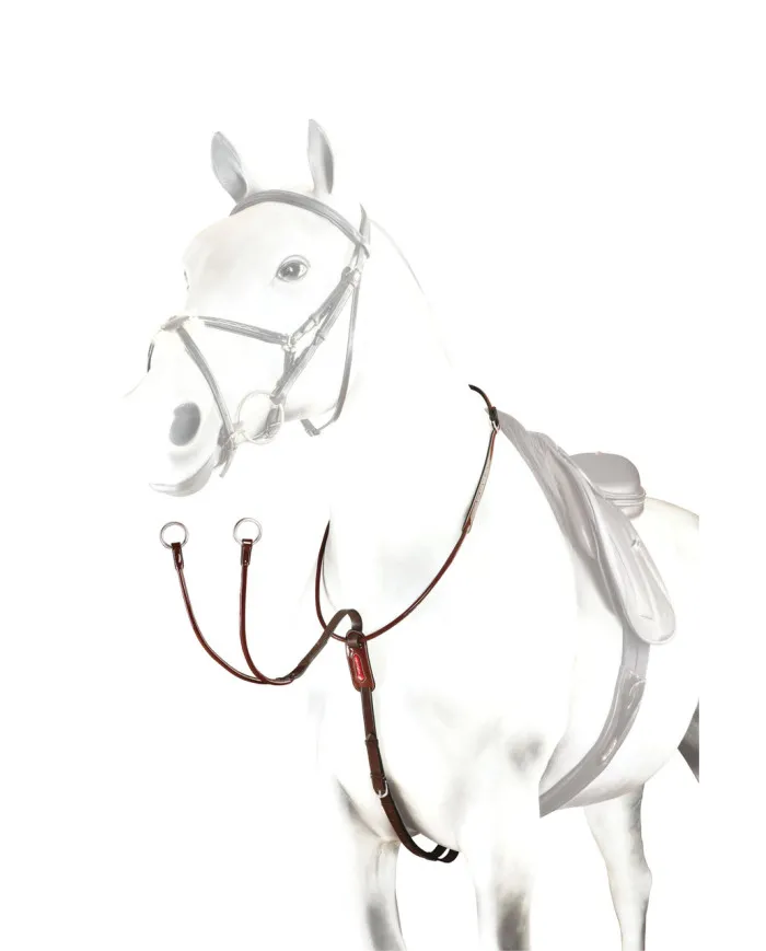 Collier Equipe Martingale en Cuir Tubulaire Avec Inserts Vernis