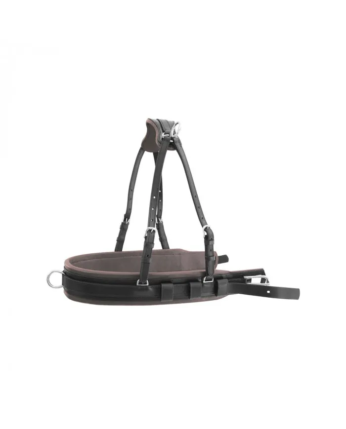 Cuirasse collier de chasse Modèle Luxe