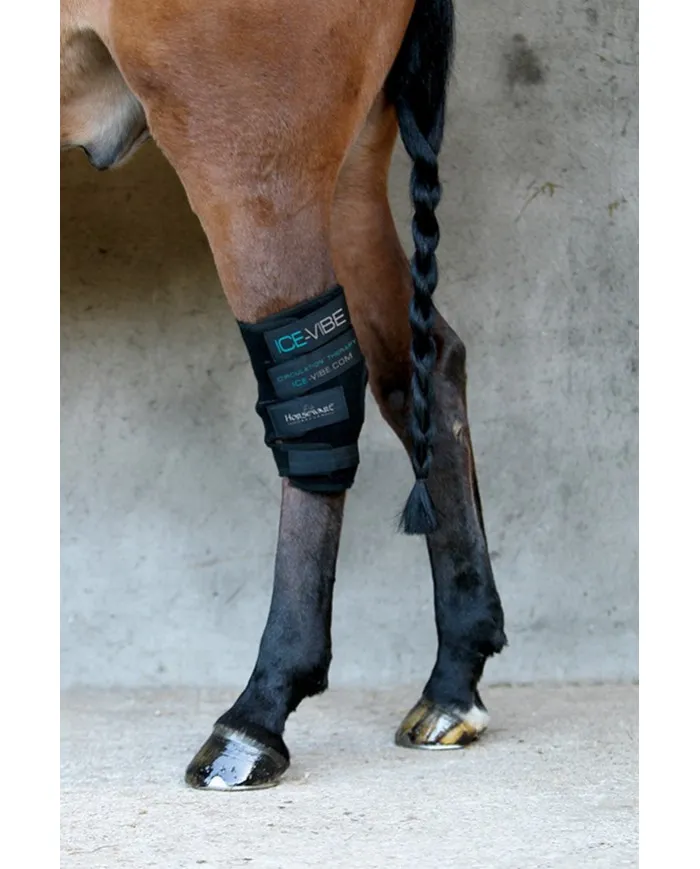 Dispositif thérapeutique Ice Vibe pour les jarrets