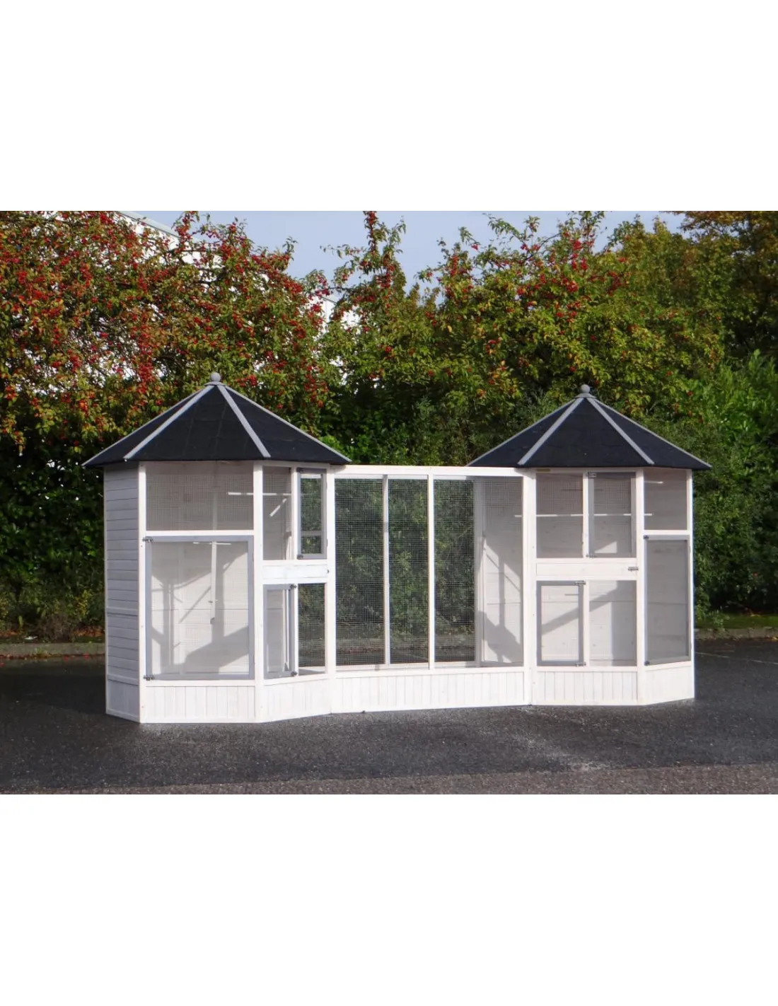 Double volière ibis avec extension volière de jardin magnifique en bois de pin massif