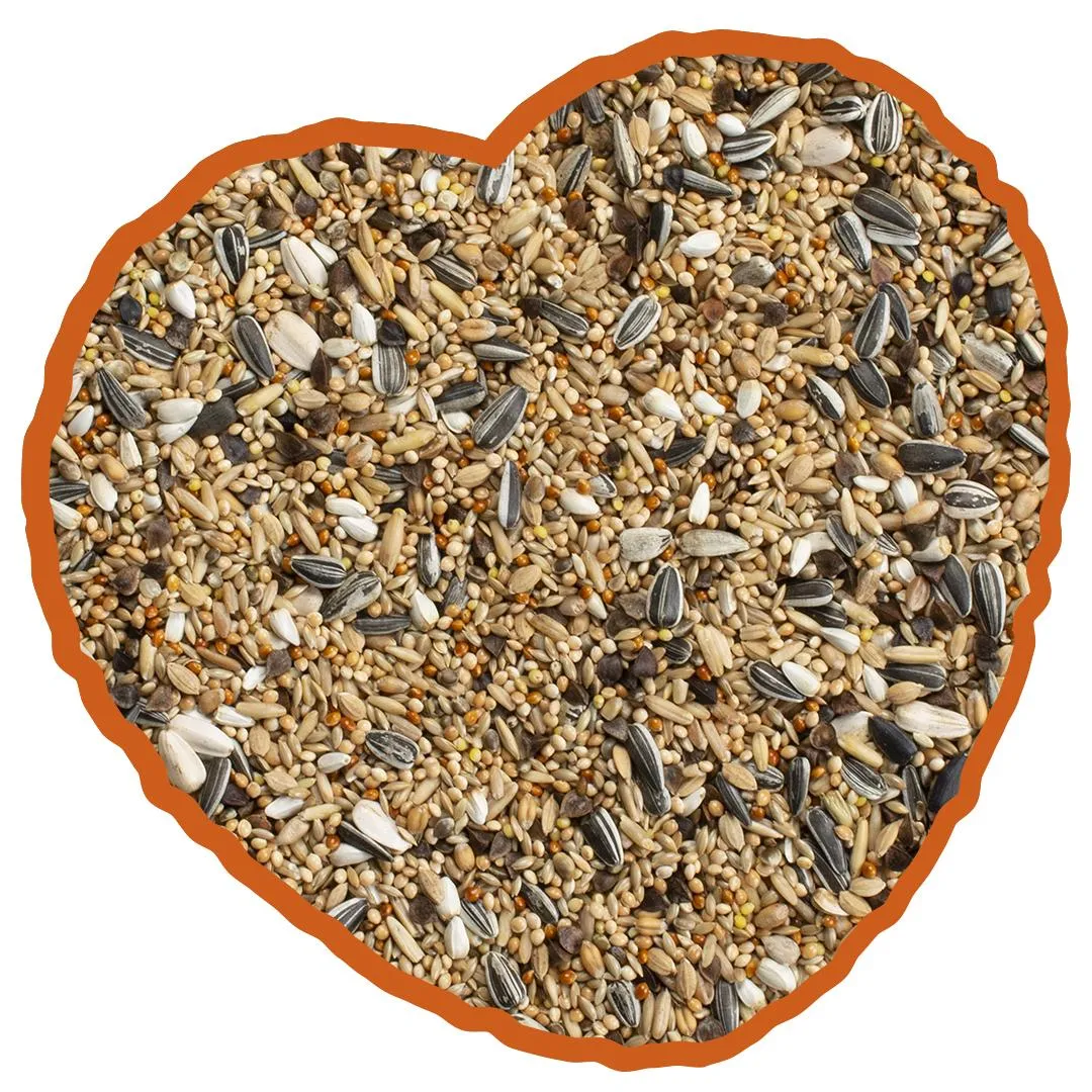 Aliment complémentaire pour grand perruche