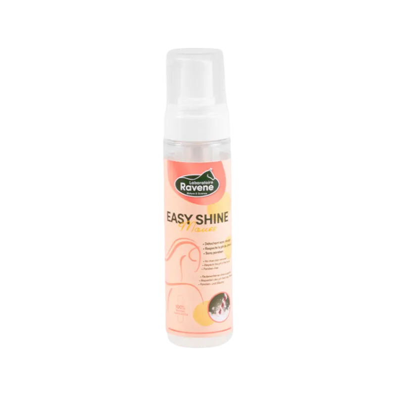 Ravene - Shampoing sec détachant mousse Easy Shine