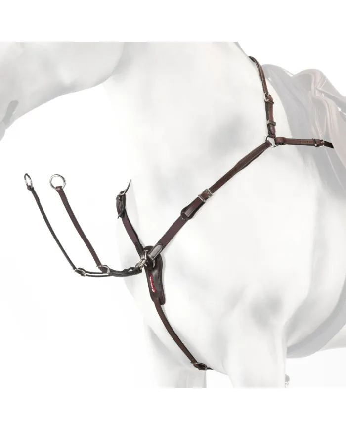 Equipe Martingale Élastique De Chasse